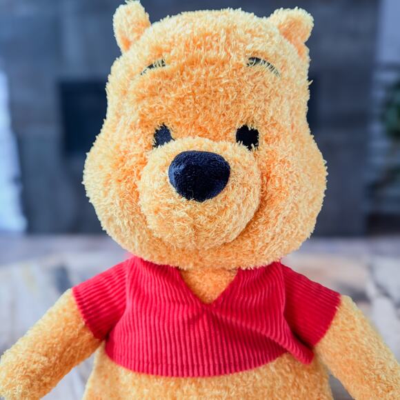 Disney, Winnie The Pooh, Weighted Plush w/ Removable 2.5 lb Weighted Pouch-15”H - Picture 2 of 8